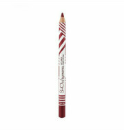 Pastel show by pastel Long Lasting Lipliner-208